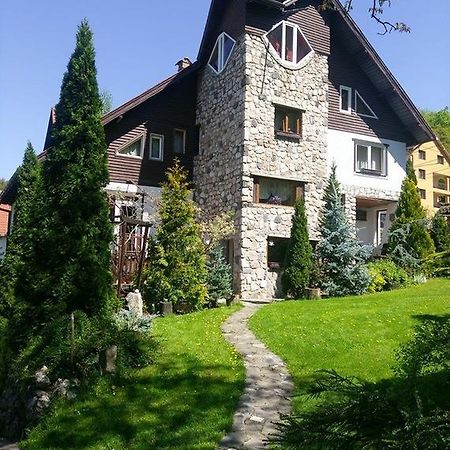 Pension Casa Contelui Risnov Bagian luar foto