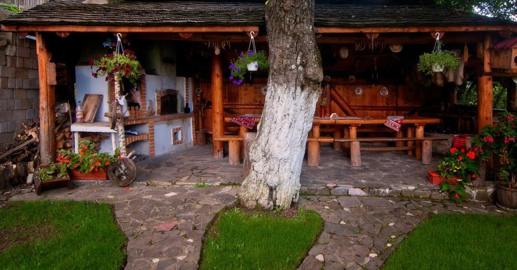 Pension Casa Contelui Risnov Bagian luar foto
