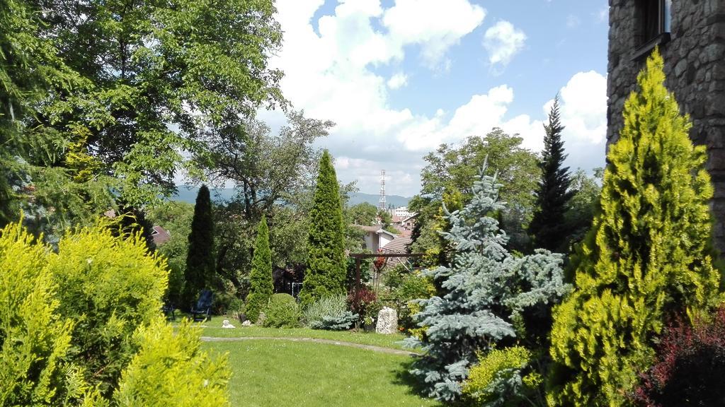 Pension Casa Contelui Risnov Bagian luar foto