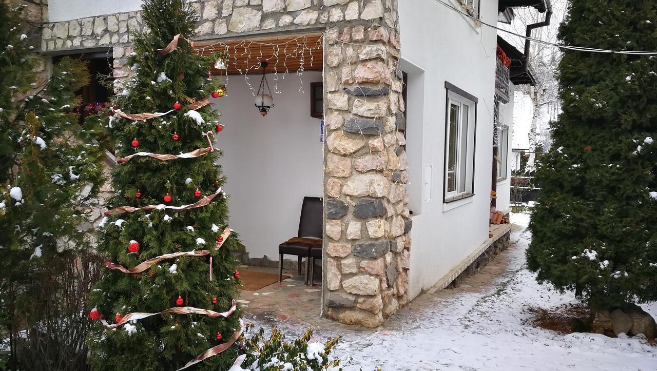 Pension Casa Contelui Risnov Bagian luar foto