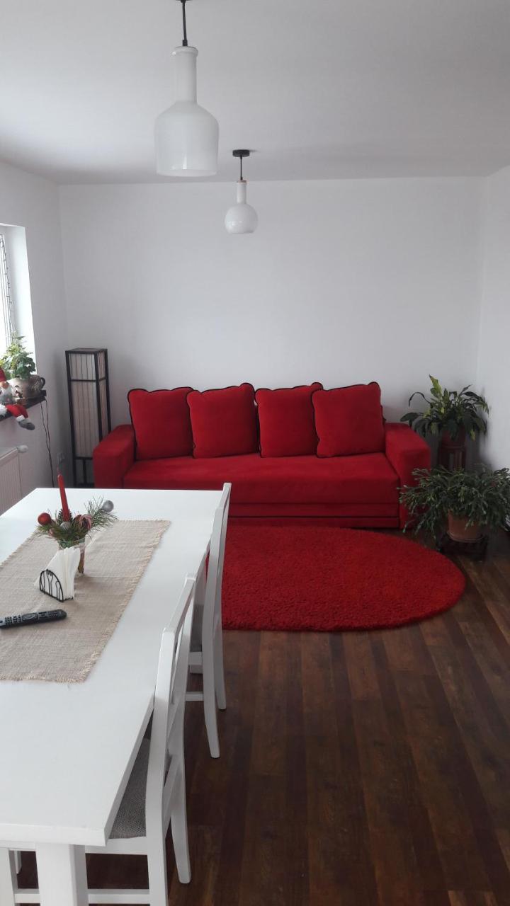 Pension Casa Contelui Risnov Bagian luar foto